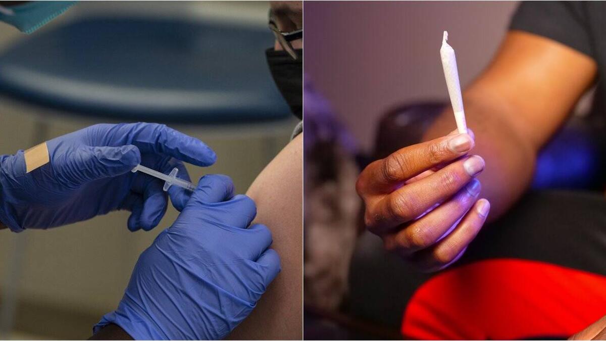 واشنطن: أعلنت مجموعة DCMJ المعنية بإصلاحات سياسة القنب في العاصمة واشنطن، في أوائل يناير الماضي، أنها ستطلق حملة "Joints for Jabs" لمكافأة أولئك الذين تلقوا الطعم بمنحهم 10 آلاف سيجارة حشيش.