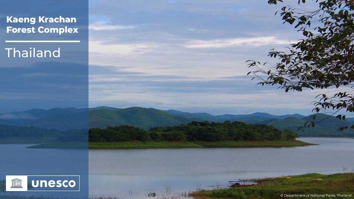 كاينج كراشان – تايلند: يمتد على طول سلسلة جبال تناسريم ويزخر بالتنوع البيولوجي وبالعديد من الكائنات البرية، وفيه تتنوع غابات الأشجار شبه دائمة الخضرة ودائمة الخضرة الجافة والرطبة، مع خليط من غابات الأشجار المتساقطة الأوراق والغابات الجبلية وغابات الأشجار ثنائية الأوراق المتساقطة.