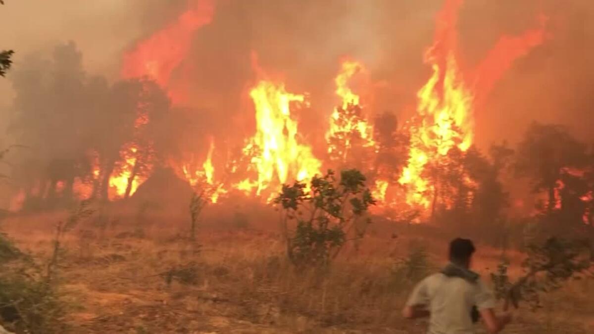 وذكرت وكالة الأنباء الجزائرية الرسمية أن أكثر من 100 حريق اندلعوا في 17 ولاية جزائرية، 50 منها اشتعلت في الوقت ذاته.