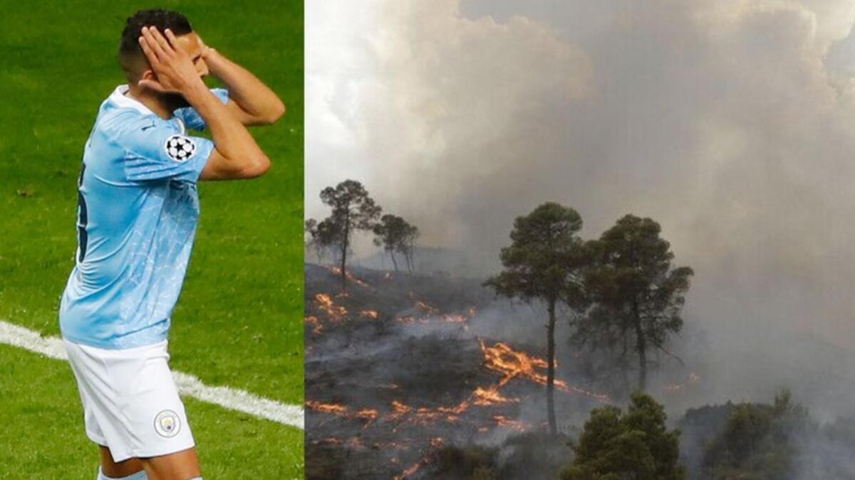 غرّد عدد من نجوم الفن العربي واللاعبين المحترفين في أوروبا، على صفحاتهم الخاصة، باسم الجزائر، وذلك للتعبير عن تضامنهم معها في ظل الظروف التي تعيشها اليوم.