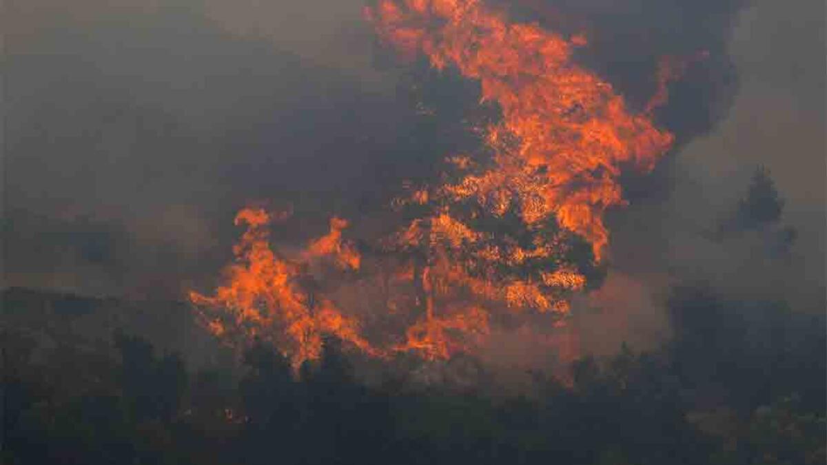 وشهد شرق الجزائر حرائق كبيرة التهمت عشرات الهكتارات خاصة في منطقة الأوراس، كما قضت النيران على مساحات كبيرة من غابات الأرز في محمية الشريعة على بعد 60 كلم غرب العاصمة.