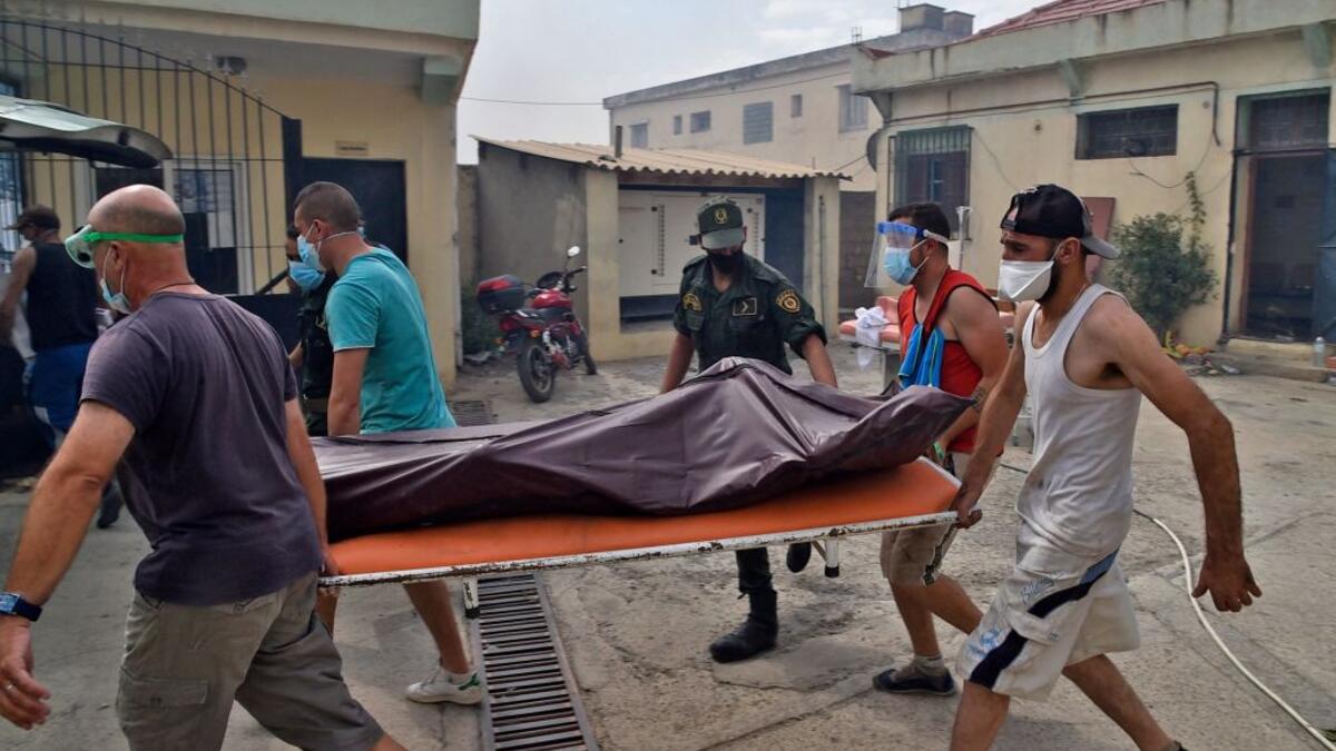 وتعد حرائق الغابات في منطقة شمال الجزائر ليست نادرة، حيث يتم الإبلاغ عن حرائق كل عام، لكن الحرائق التي اندلعت هذا العام لا تزال واحدة من أكثر الحرائق انتشارًا في الذاكرة الحديثة.