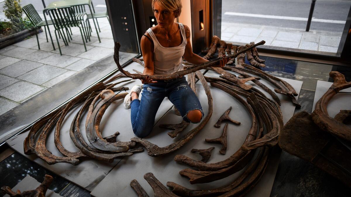 A worker sorts the ribs of a triceratops ahead of its assembling in a gallery where it is scheduled to be exposed ahead of its auction sale at Drouot auction house in October.