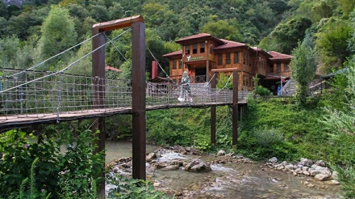 غابات ينيس: تقع في منطقة غرب البحر الأسود، وهي منطقة فريدة من نوعها تضم تنوعًا كبيرًا من النباتات والحيوانات وهي موقع رائع للتجديف والمشي لمسافات طويلة وركوب الدراجات.