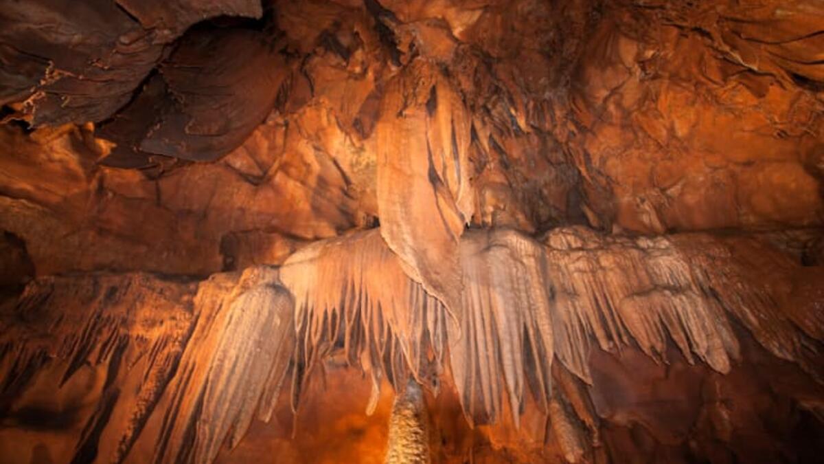 حديقة ماموث كافيه الوطنية، كنتاكي، أمريكا: هو أطول نظام كهف معروف في العالم، ويعمل كملاذ دافئ حيث تبدأ الأرض أعلاه في التجمد، وتقدم مجموعة متنوعة من الجولات عبر الكهوف.