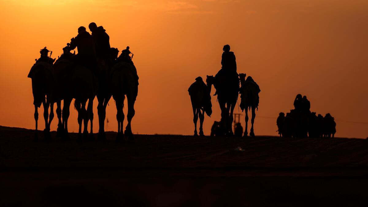 Mazayin Dhafra Camel Festival