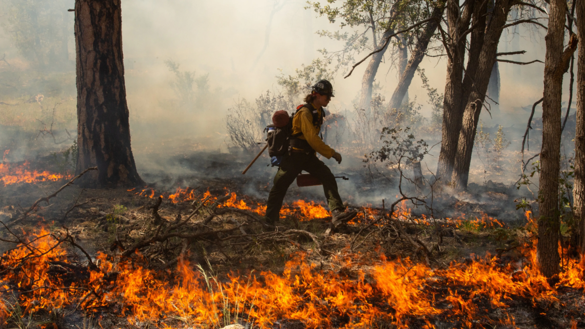 في 2023، شهد العالم سلسلة من الكوارث الناجمة عن المناخ التي امتدت من أستراليا إلى القرن الأفريقي وحوض الأمازون.