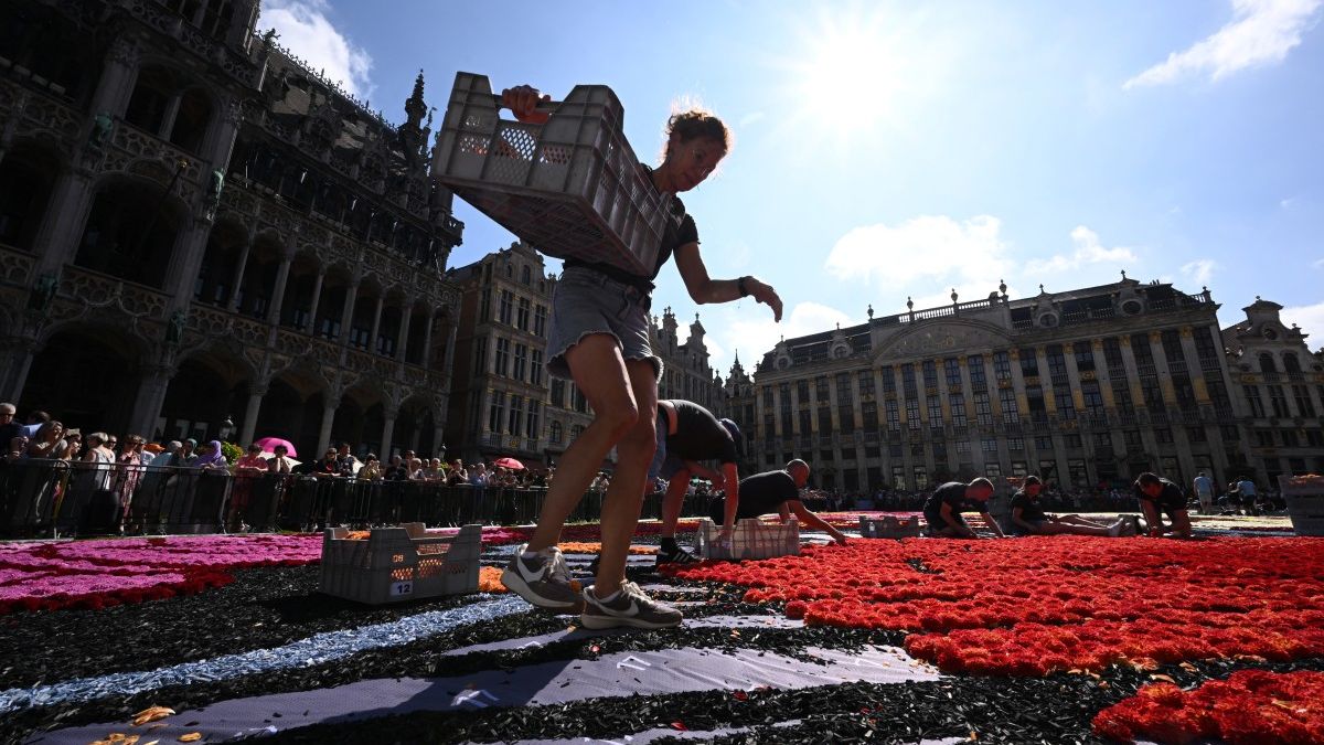 The flower carpet is free to view until Sunday, August 18, at 10 PM (last entry at 9:30 PM). A light and audio show runs every 30 minutes in the evening (9-11 PM). Visitors can buy tickets to see it from the City Hall balcony, though tower tickets are sold out. Balcony tickets are still available on the site.