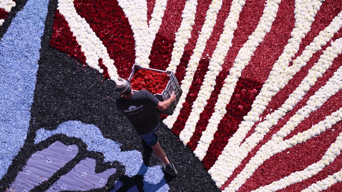 The stunning flower carpet is crafted by 100 volunteers from Belgium, Spain, and the U.S. Arriving by bus at 07:00, most hail from Loenhout, linked to the Loenhout Bloemencorso, which supplied the flowers.
