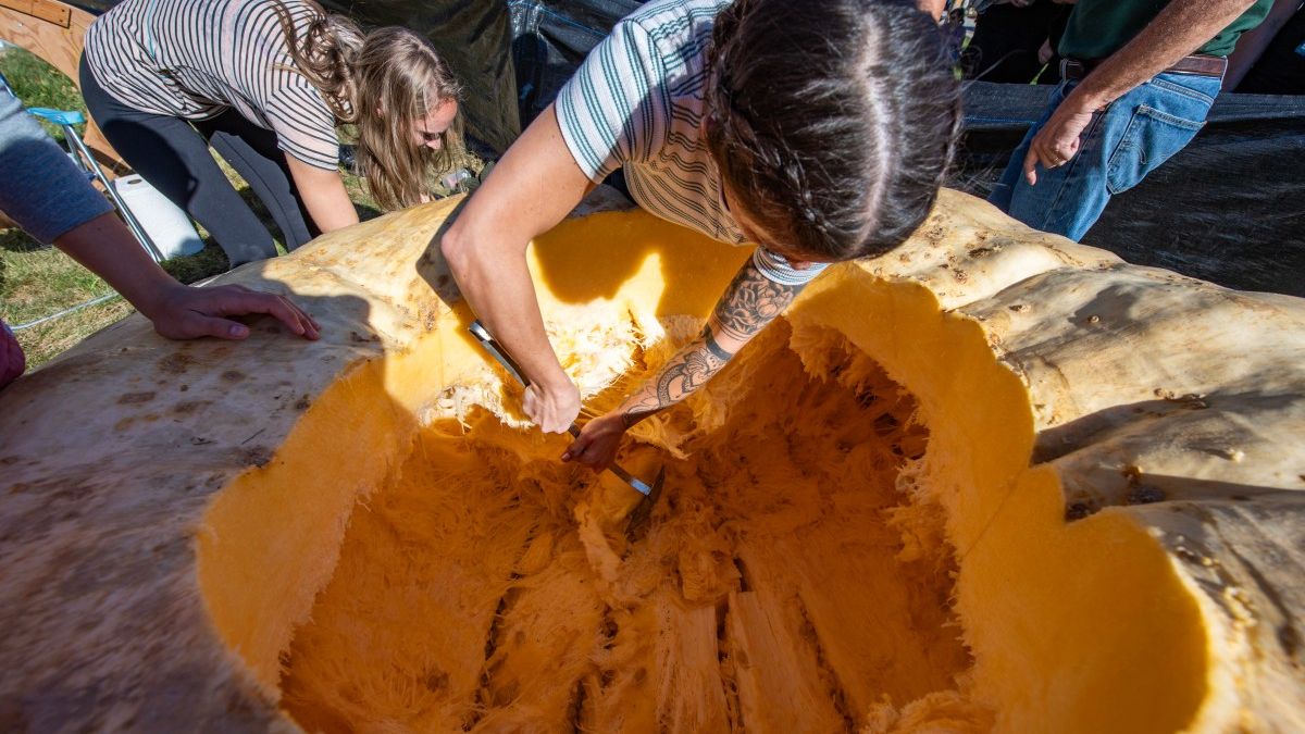 Teams carve a giant pumpkin to create a pirate boat during the Giant Pumpkin Weigh-off and Regatta in Goffstown, New Hampshire on October 19, 2024. (Photo by Joseph Prezioso / AFP)
