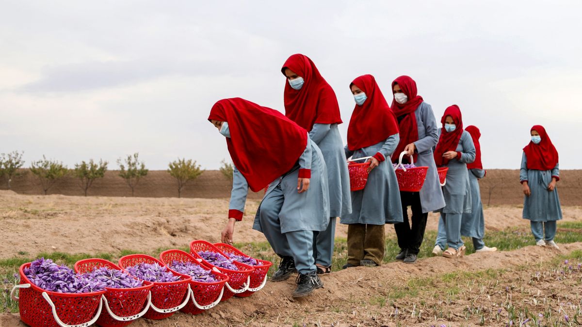 Women are gradually being erased from public spaces: Taliban authorities have banned post-secondary education for girls and women, restricted employment and blocked access to parks and other public areas. (Photo by AFP)