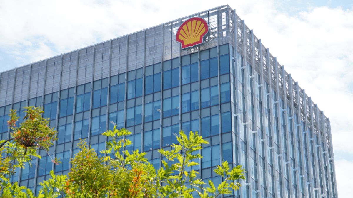 Shell company building