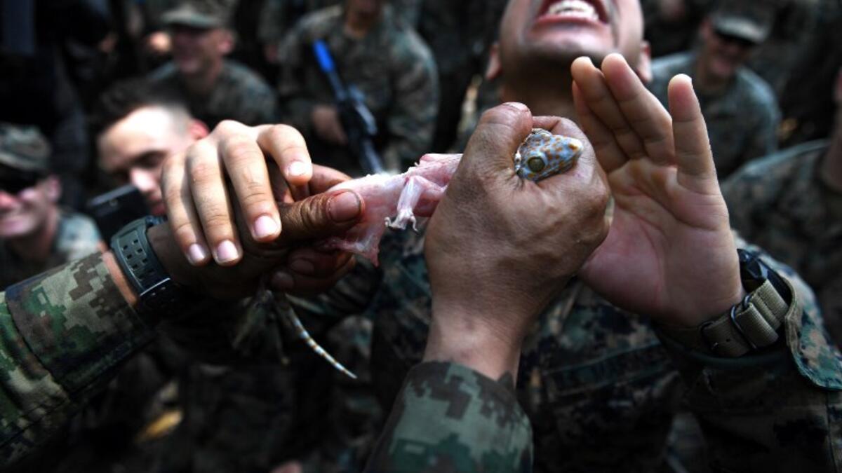 A US Marine eats a gecko during a jungle survival training with Thai soldiers in the joint 'Cobra Gold' military exercise in Chantaburi province 
Lillian SUWANRUMPHA / AFP