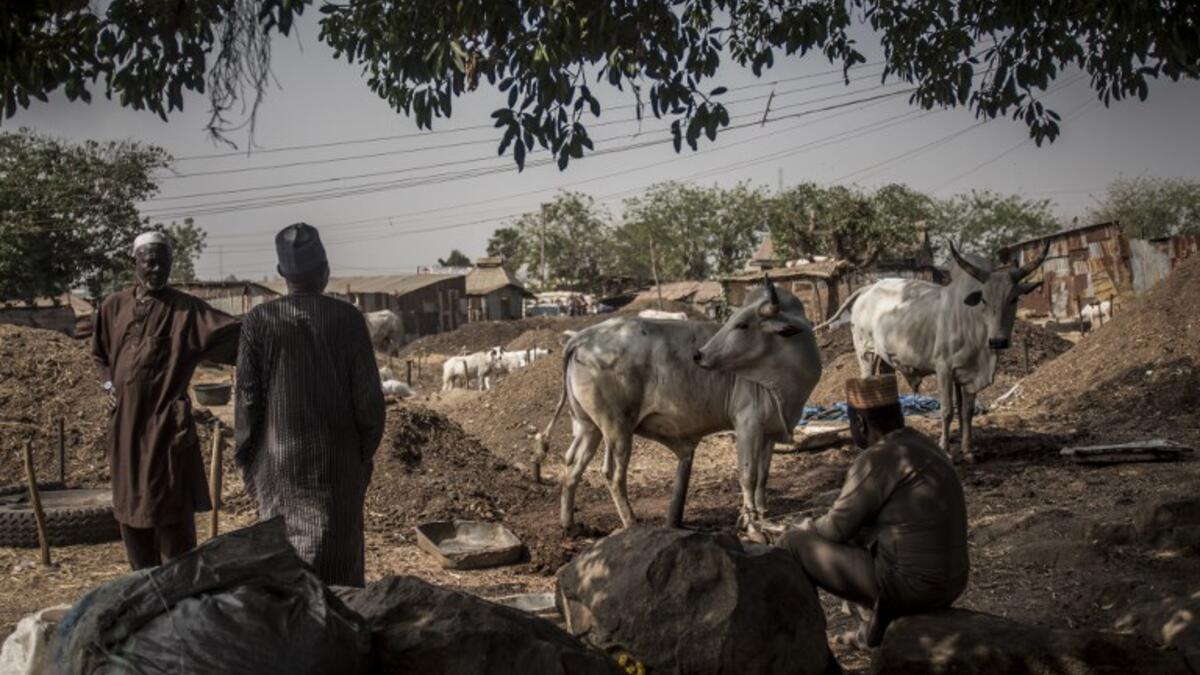 Stockbreeders rest at Kaduna Abatour meat market in North Kaduna CRISTINA ALDEHUELA / AFP