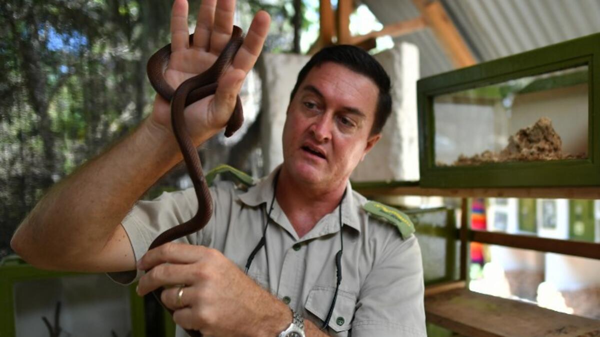 The herpetologist and director of the Bio-Ken Snake Farm, Royjan Taylor, holds a small snake on February 13, 2019, in the Kenya's coastal town of Watamu, in Kilifi county. 
TONY KARUMBA / AFP