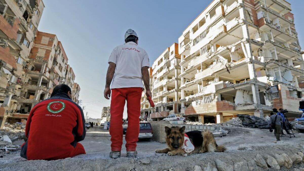 An Iranian civil defence K-9 unit wait near damaged buildings during a search for survivors in the town of Sarpol-e Zahab.

(ATTA KENARE / AFP)