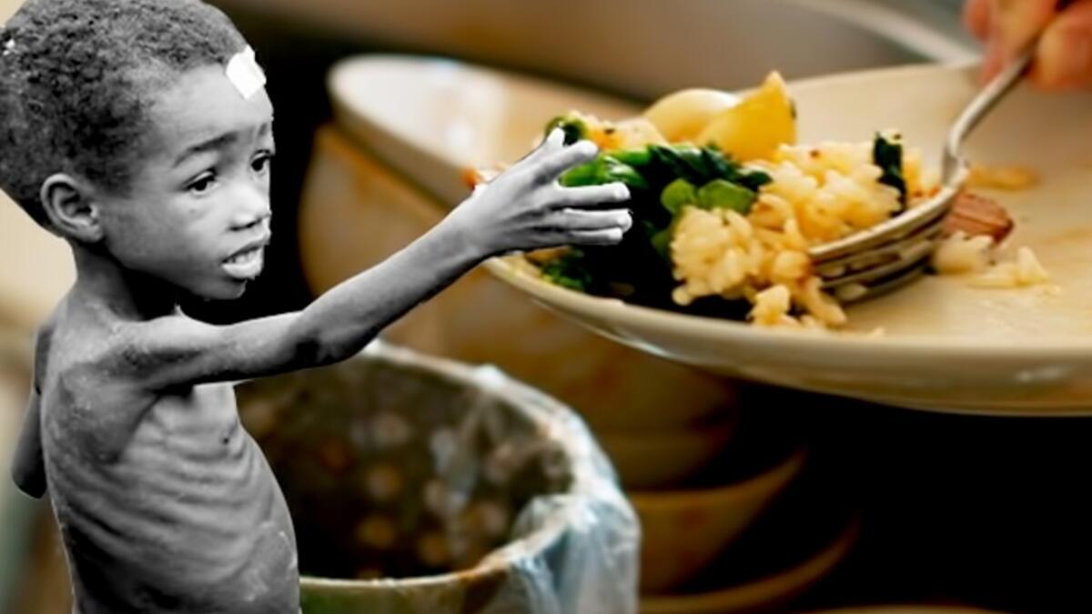 واحدة من أفضل وسائل المحافظة على الطعام بدلًا من سكبه في سلة القمامة، التبرع به، وهنا يجب الاهتمام بإنشاء بنوك للتبرع بالطعام في كل الدول، وحتى بعض الأغذية التي نظن أنها قد فسدت قد تكون مفيدة للمزارع أو إطعام الماشية أو تخصيب الأراضي الزراعية.