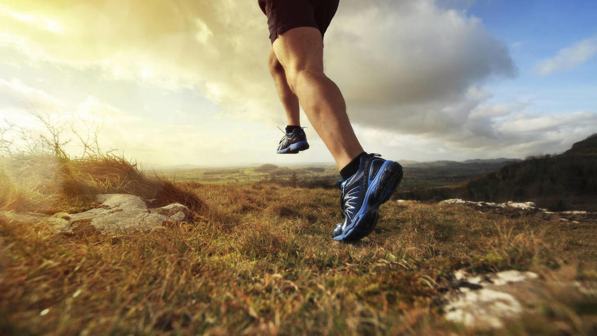 وجدت دراسات أن الأشخاص الذين يمارسون أنشطة بدنية يتوفرون على دماغ بحجم أكبر مقارنة مع الذين يحجمون عن النشاط البدني.