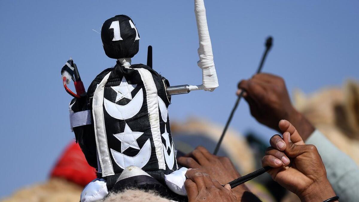 A 'jockey robot' on top of a camel ahead of a race (Twitter)