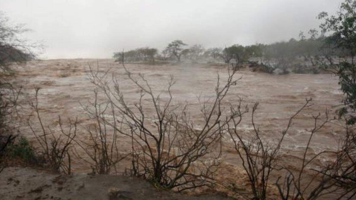 37 schoolchildren and 7 teachers were caught in a gushing stream as sudden torrential rainstorm flooded the area (Twitter)