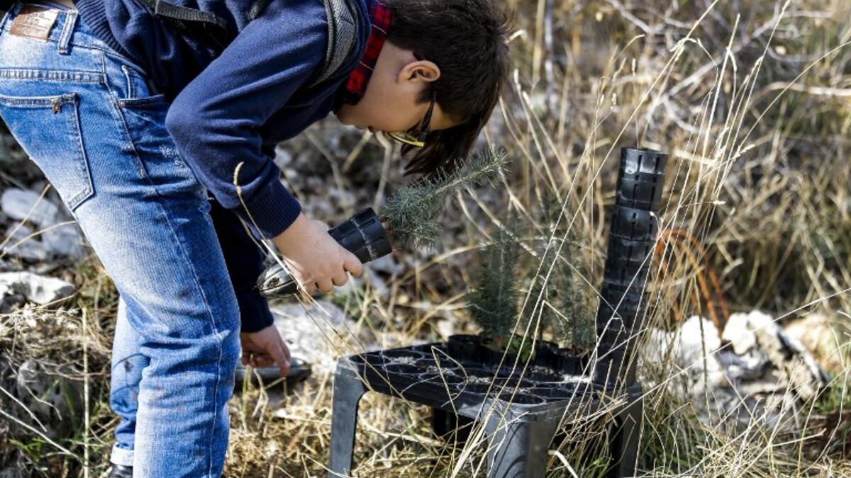 An activist from Lebanese NGO Jouzour Loubnan ("Roots of Lebanon") holds in his hand young a cedar to be planted on the slopes of the Jaj Cedar Reserve Forest in the Lebanon mountains.
JOSEPH EID / AFP