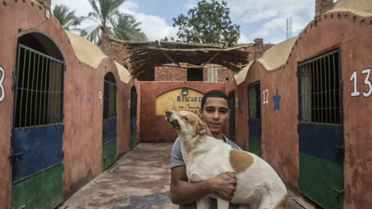 A volunteer carries a rescued dog that was run over by a driver, at the HOPE shelter for stray dogs in the village of Abusir
Khaled DESOUKI / AFP
