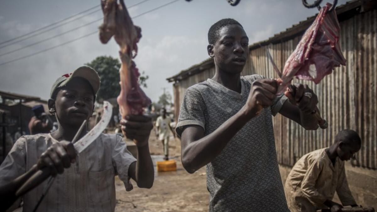 Kids cut cow meat at Kaduna Abatour meat market in North Kaduna CRISTINA ALDEHUELA / AFP