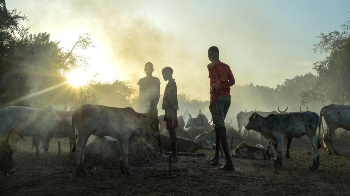 A young girl from the Falata community stands in a herd of cattle at the Dirkier cattle camp in Udier, South Sudan 
SIMON MAINA / AFP