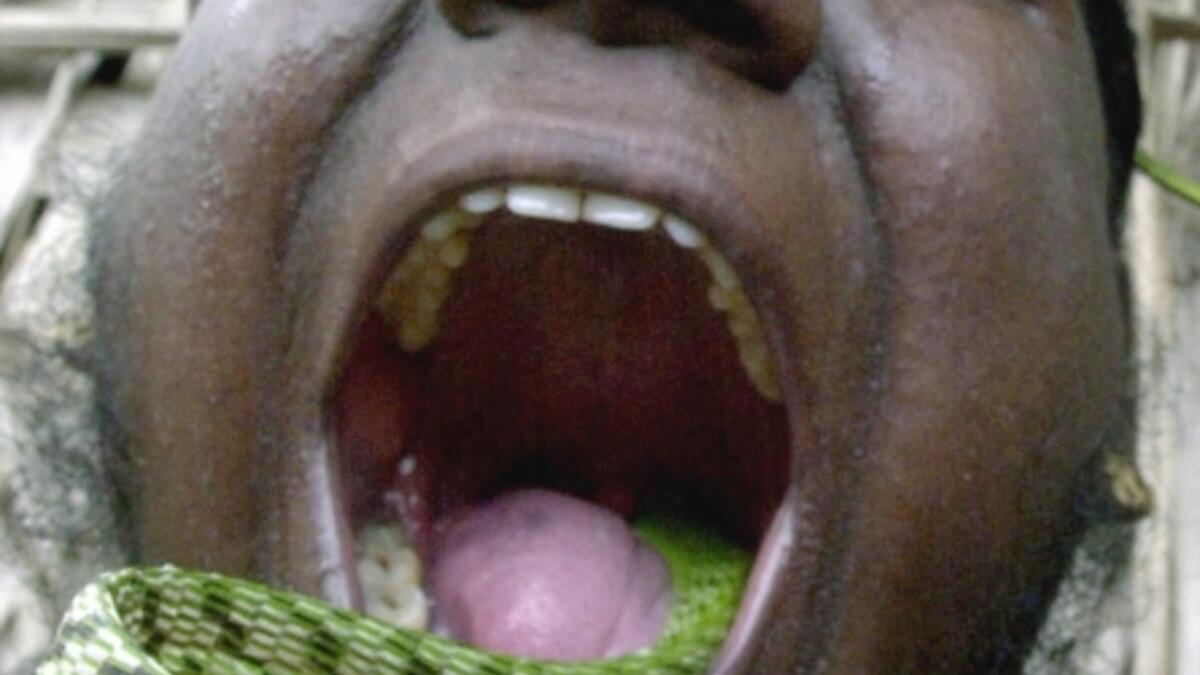 Indian man and Guinness World Record holder C. Manoharan popularly known as Snake Manu practices for a new record by putting a live snake up his nose and out through his mouth in Madras, September 2, 2004. (AFP/ File Photo)