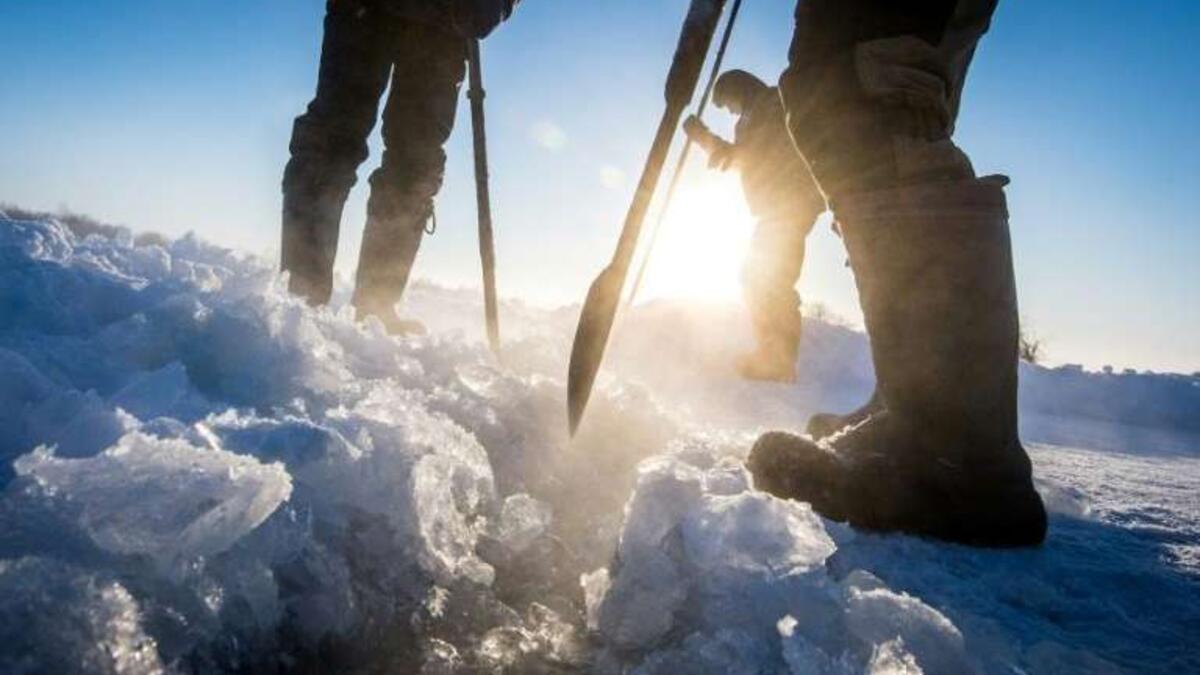 They cut ice blocks out of the lake in temperatures of minus 41 degrees Celsius (phys.org)