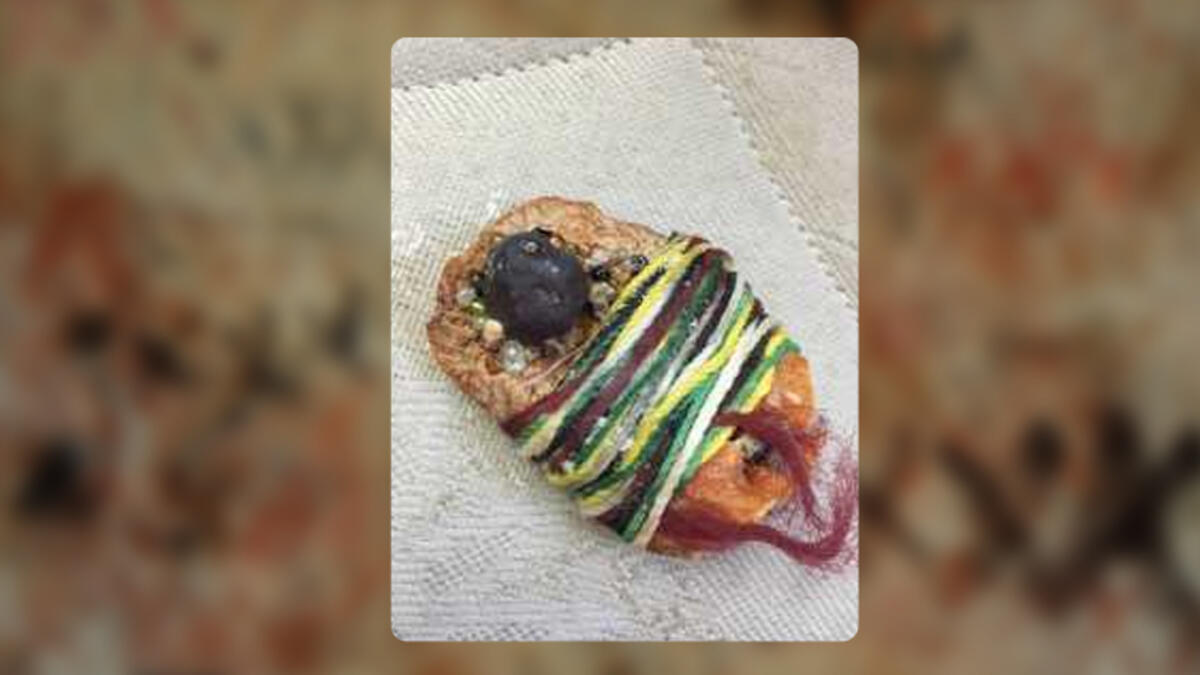 Hyena Sex MiddleEast Facebook