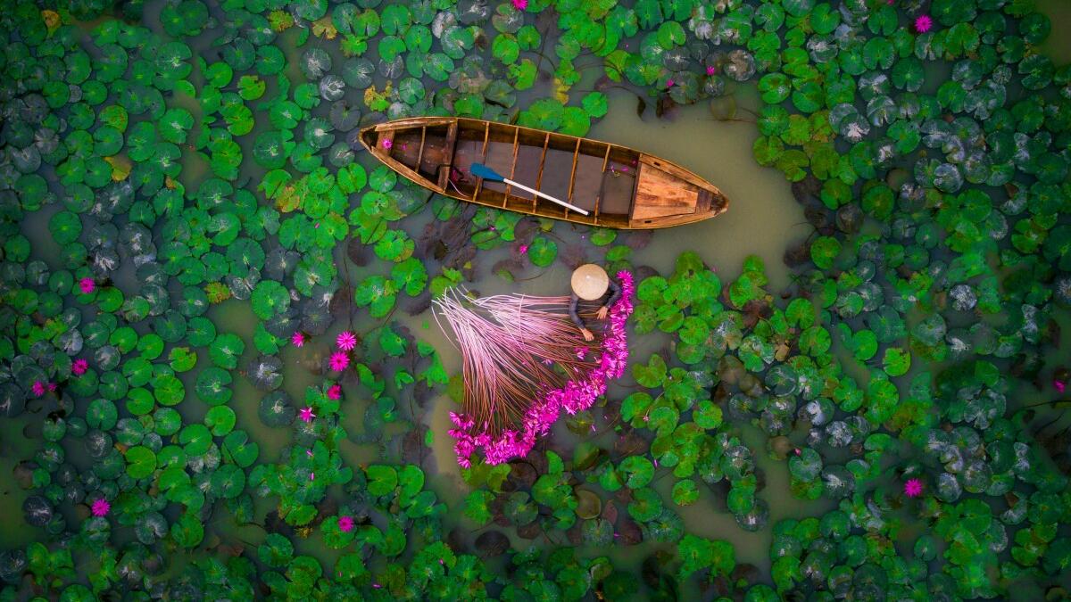 الجائزة الثانية عن فئة الناس صورة بعنوان "Waterlily" "زنبق الماء" التقطت من قبل هيليوس