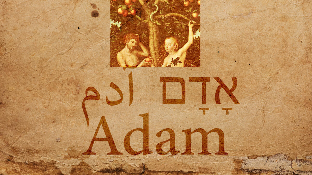 Adam
