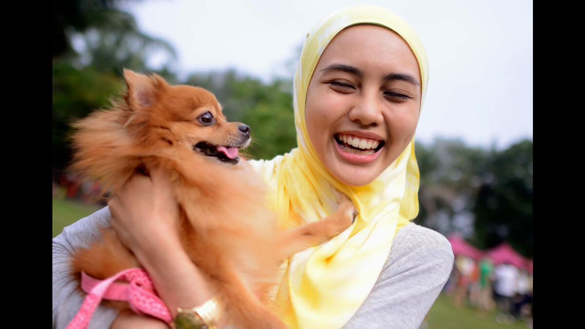 Islam and dogs