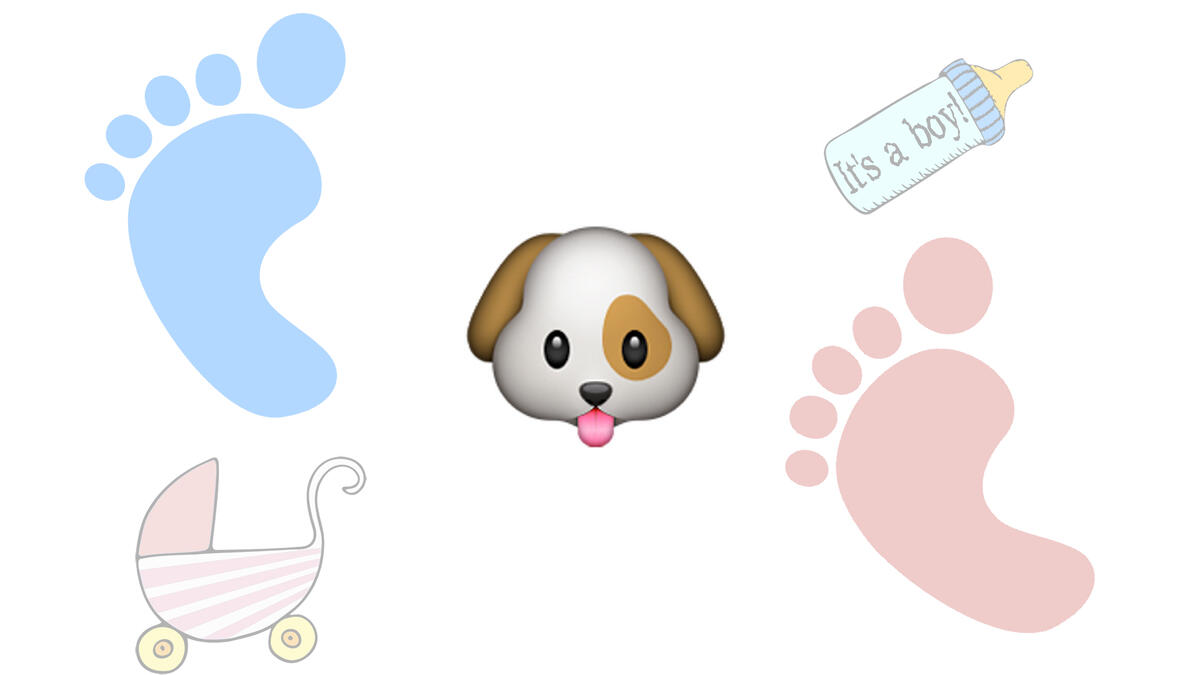 Jirwan (male): Some parents need to be put on a leash, especially those who name their kids “puppies,” aka Jirwan. FYI: Your child isn’t your new pet!