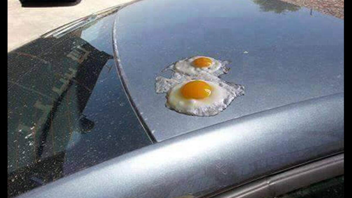 How to handle Dubai's egg-friable air? Crank up Eminem’s “Survivor” and channel Slim Shady!  Drop sunshades and close curtains during the daytime to shade your rooms and stop sunlight from heating up indoor spaces. Added bonus? Increased privacy when you lounge around listlessly in skimpy clothes or if in holy land, fig leaves!