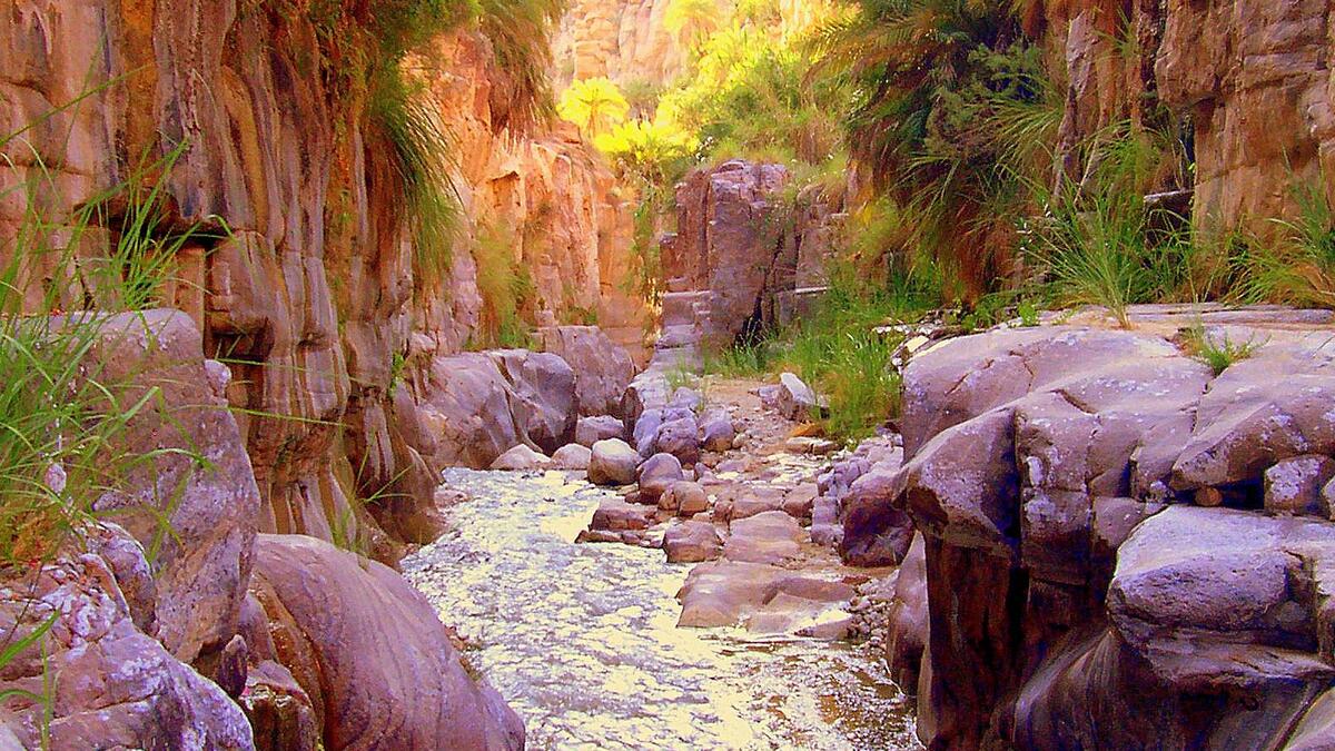 Wadi Bin Hammad in Karak Province. (terhaal.com)