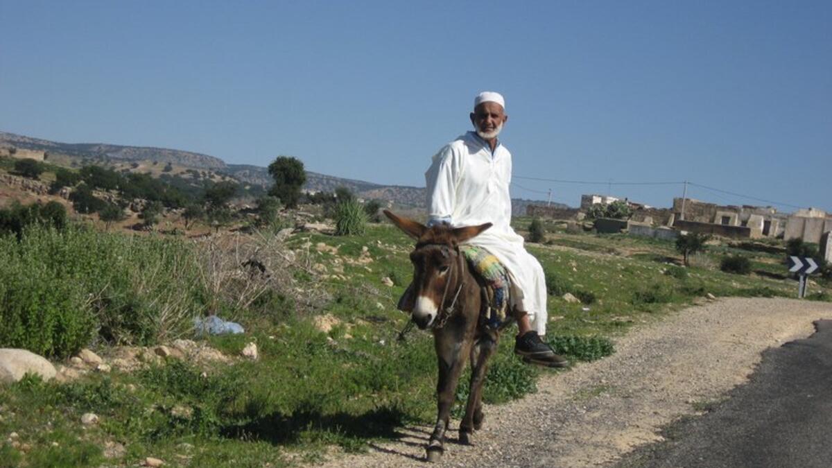 Should one be riding a donkey (or a bicycle - as these are obviously interchangeable) and come across men seated on the side of the road, one should dismount to greet them with ‘Assalam waleykum.’ If you don’t, it’s 3aib. And if you are too weak to dismount, just don’t say anything at all.