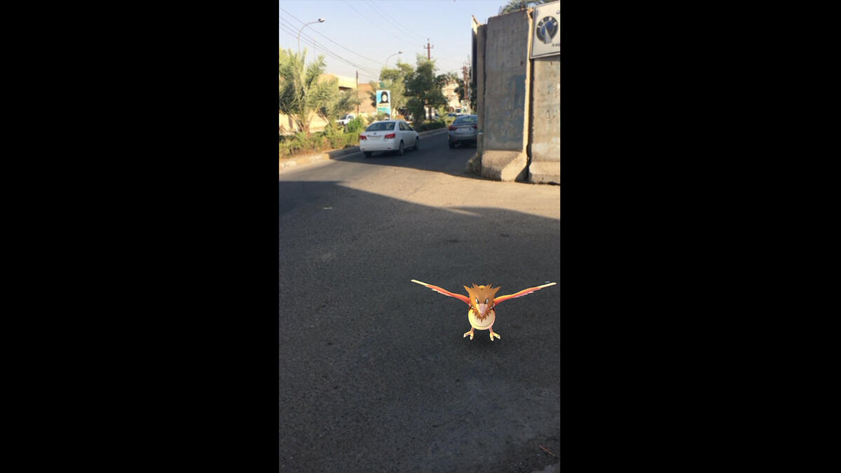 Hayder Shakeri Pokemon Baghdad Iraq