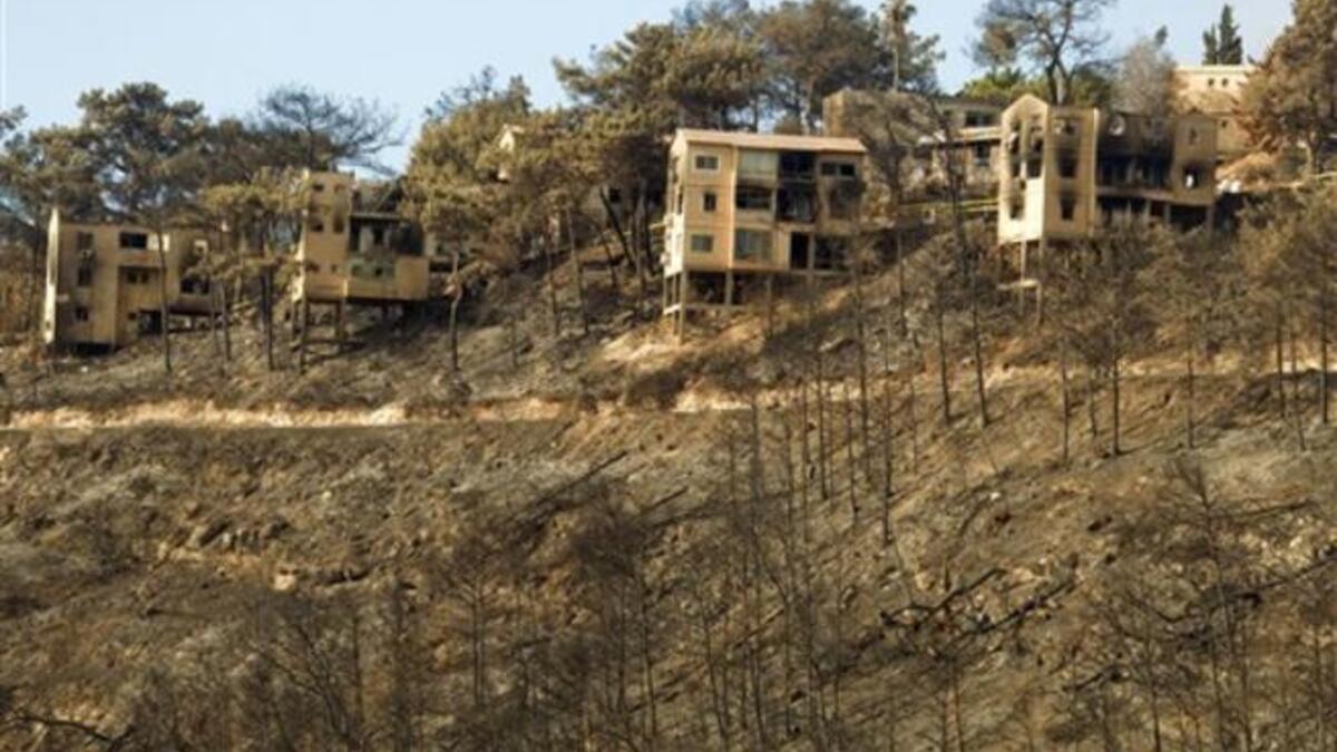 A burnt trees in front of fire-damaged homes are seen in Beit Oren after the forest fire was finally brought under control. Scorched and blackened areas of Israel Mount Carmel forest, razed by the flames of the country worst-ever fire, will take decades to return to their once-lush glory.