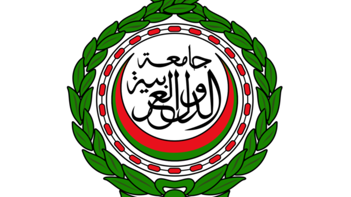 هناك مخاوف من أن يكون توسيع المجلس على حساب موت جامعة الدول العربية.