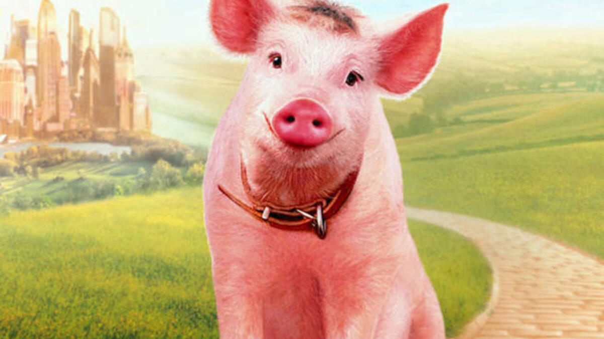 خنزير وردي اللون