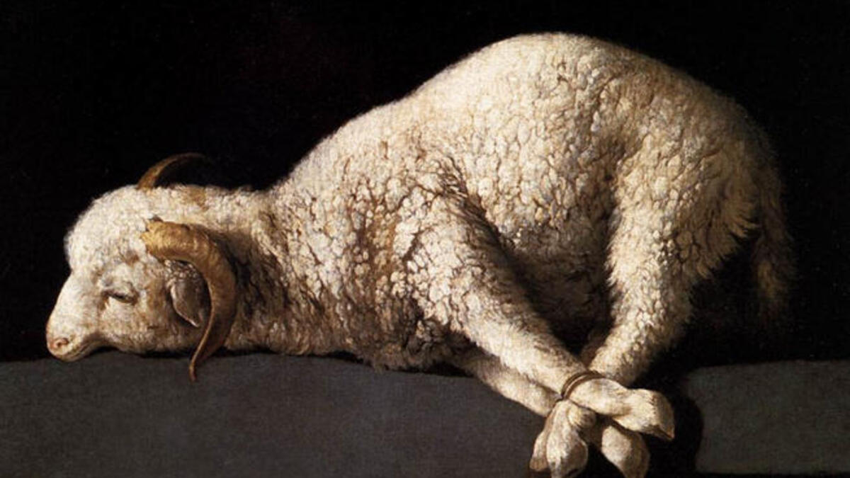 التضحية بالحيوانات