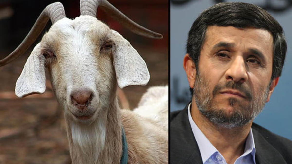 Ahmadinejad goat