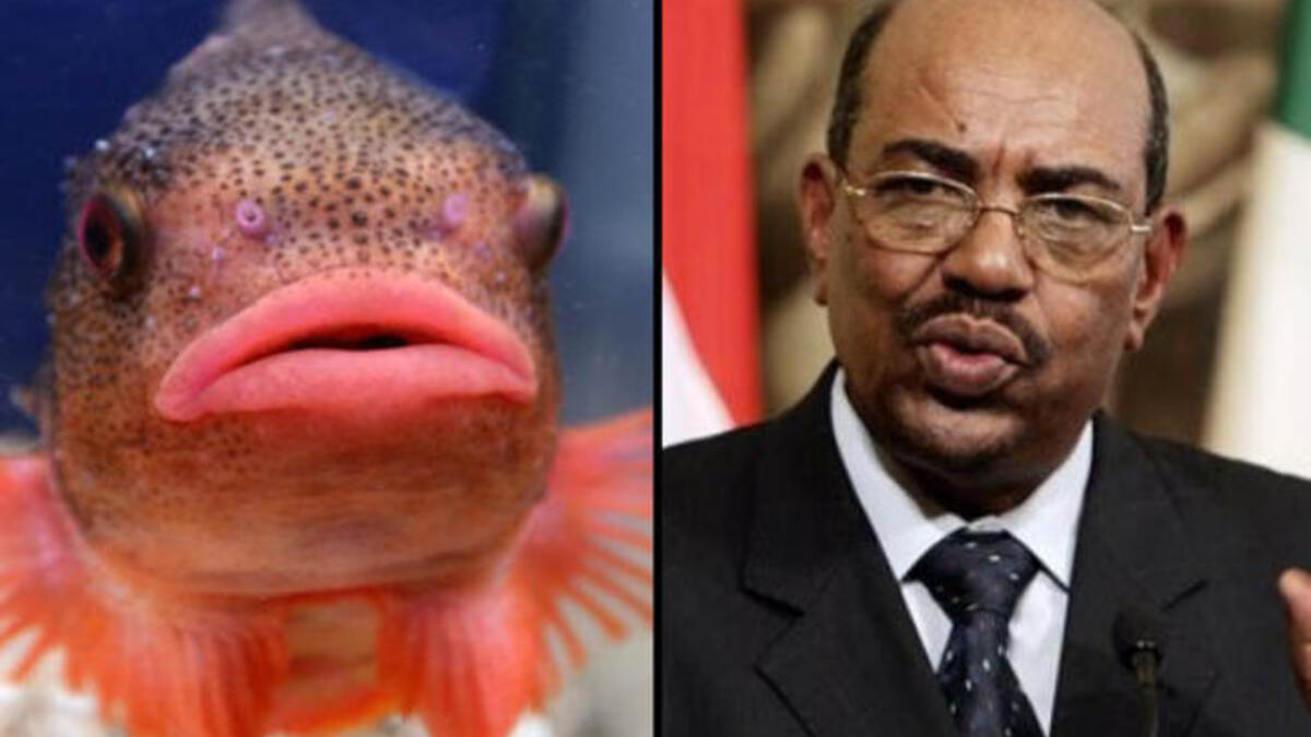 Omar Bashir fish lips