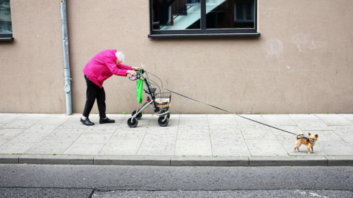 تصوير الشارع: للمصور "مانويل أرمينيس" بعنوان "الأصدقاء القدامى"