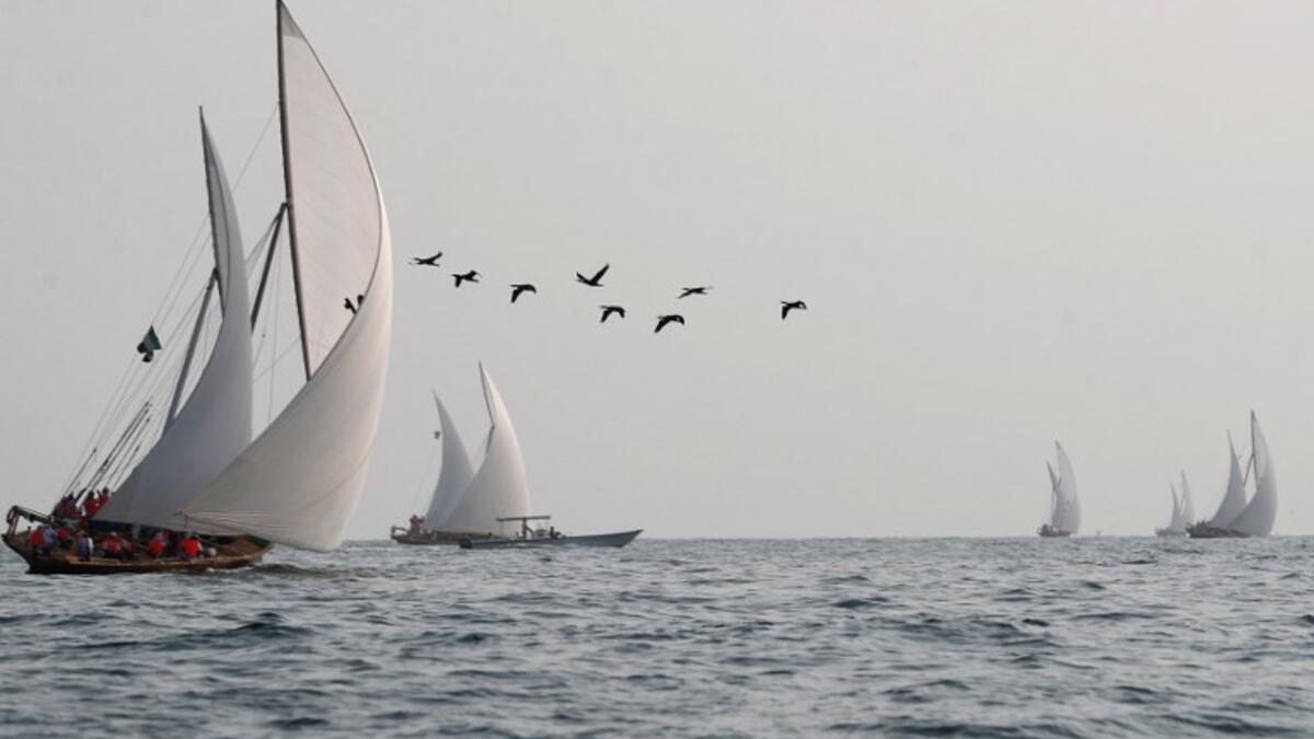 Emirati competitors sail their dhows as they take part in the Dalma Sailing Festival. (KARIM SAHIB / AFP)