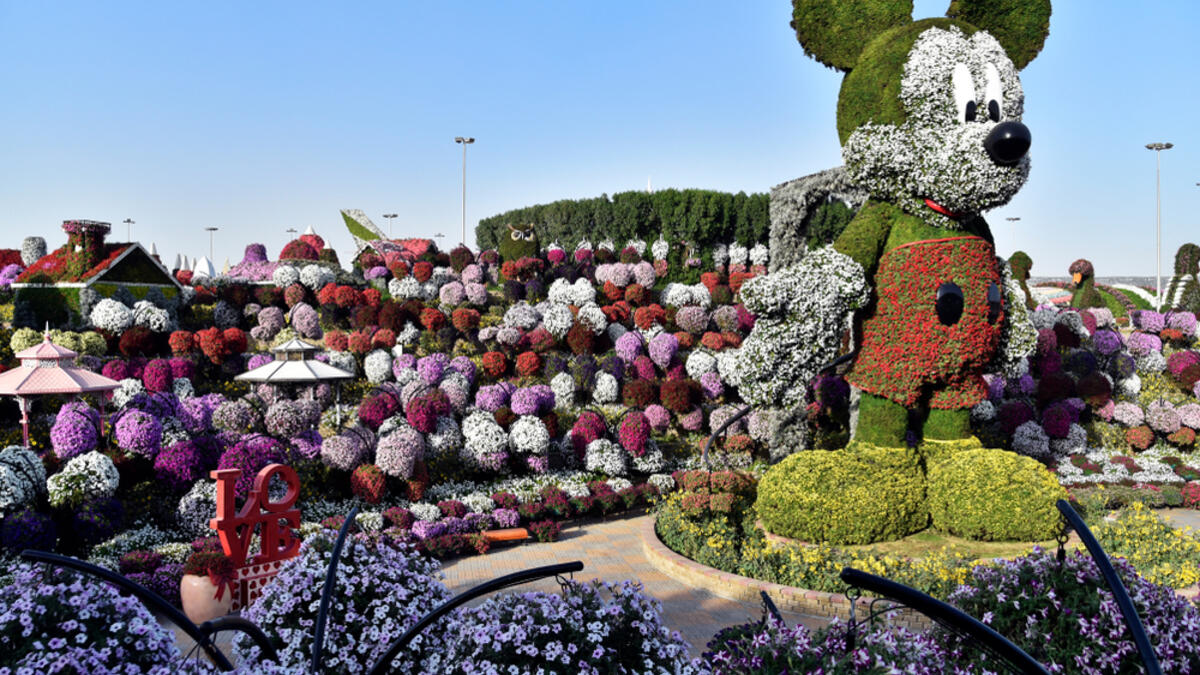 Dubai Miracle Garden recently created a 18-metre floral Mickey Mouse. (Shutterstock/ File Photo)