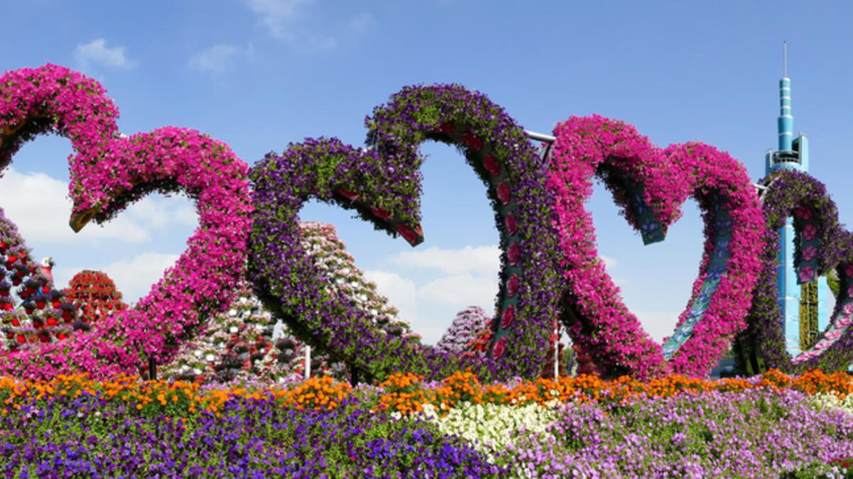 Giant heart shaped sculptures made from flowers at Dubai Miracle Garden. (Shutterstock/ File Photo)