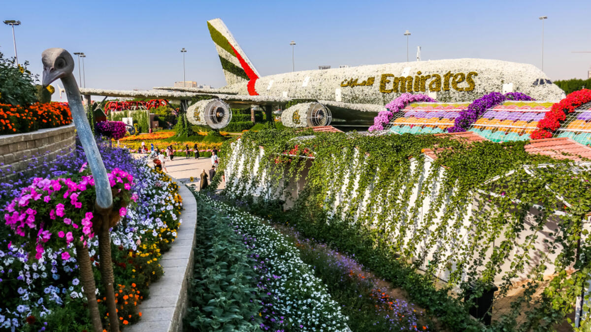 Dubai Miracle Garden, Flower Garden and Flourish Landscape has a sculpture on the shape of the Emirates A380 Plane.(Shutterstock/ File Photo)